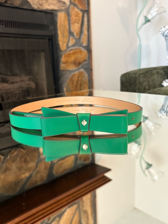 She’s Exquisite?Belt main image 5